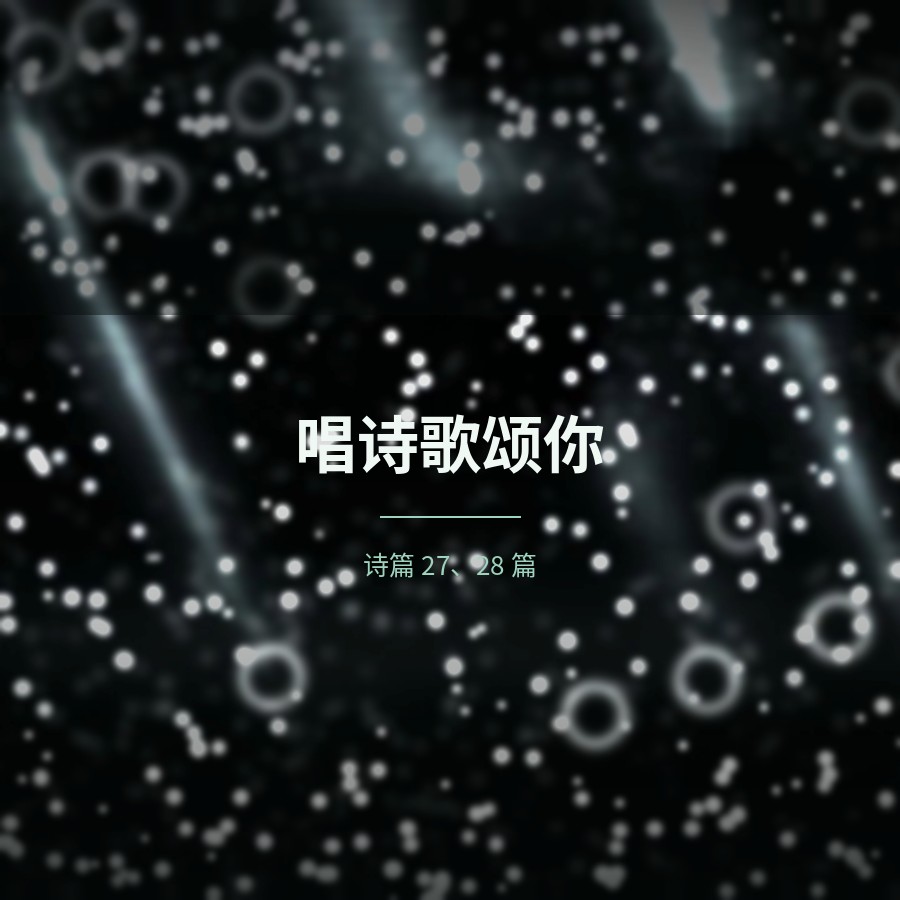 唱诗歌颂你（诗篇27、28篇） 封面