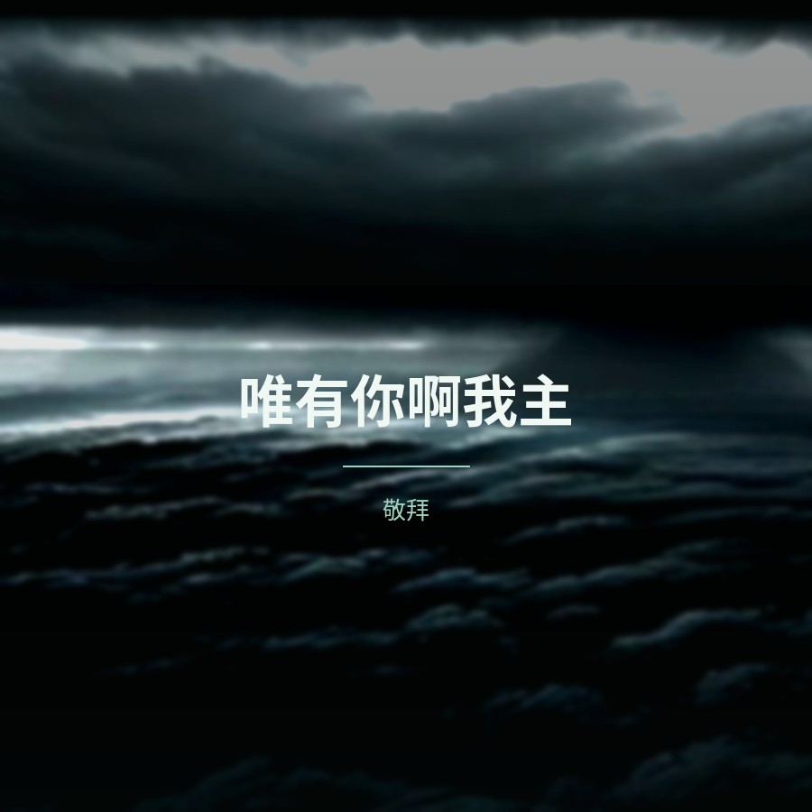 唯有你啊我主 封面